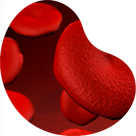 Blood in Urine or Hematuria