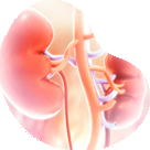 Kidney Failure - Kidney Failure Symptoms